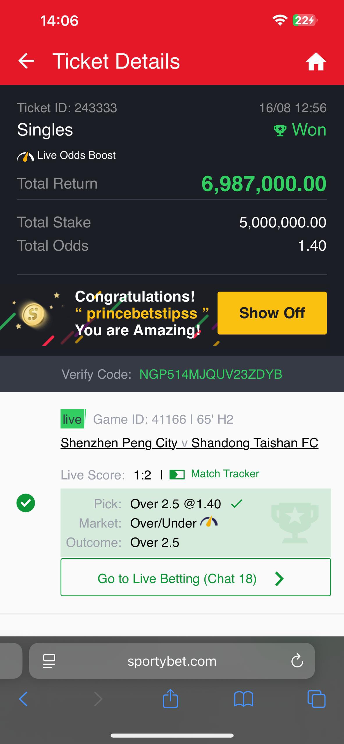 Winning Ticket 4